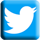 twitter_icon.png